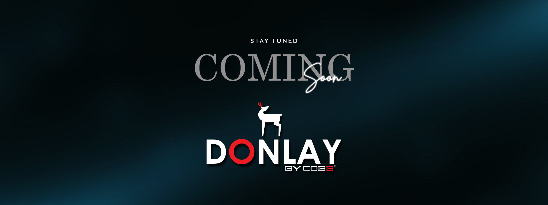 Launching Sub-Brand Donlay