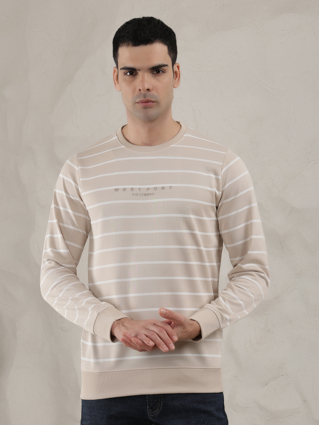 cobb beige striped round neck full sleeve t-shirt