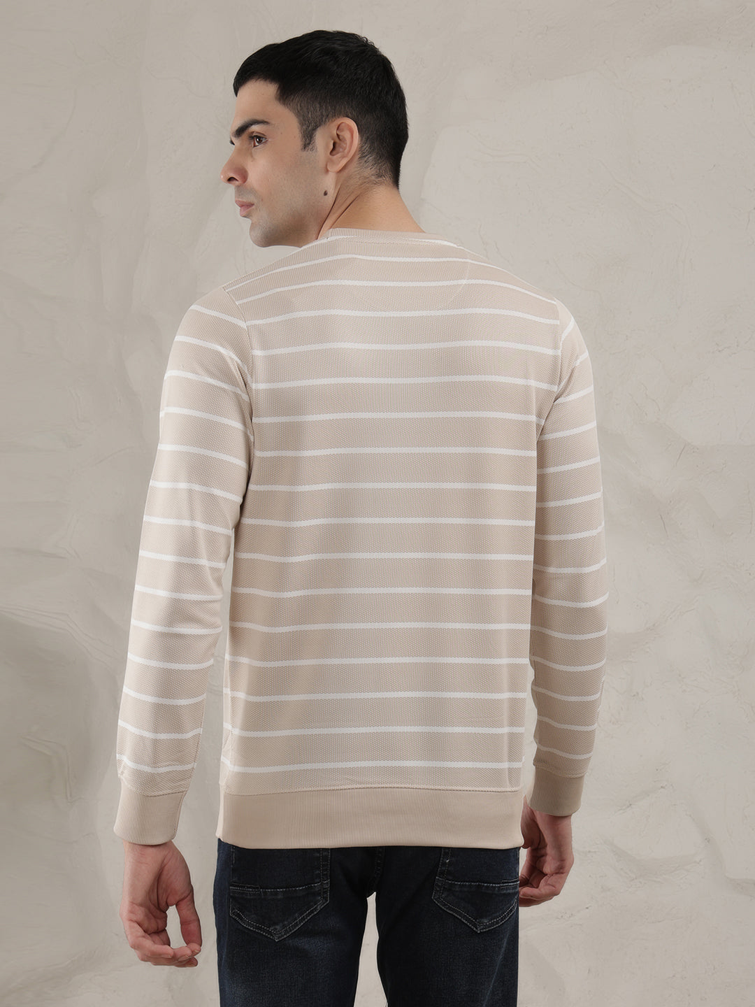 cobb beige striped round neck full sleeve t-shirt