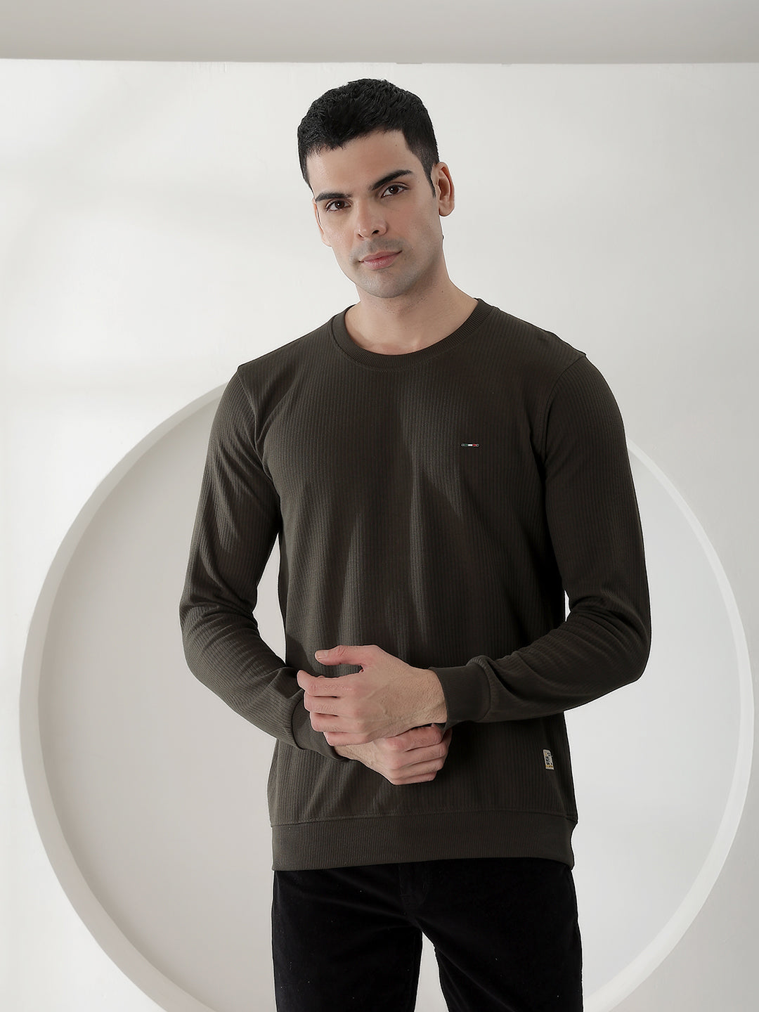 cobb solid green round neck full sleeve t-shirt