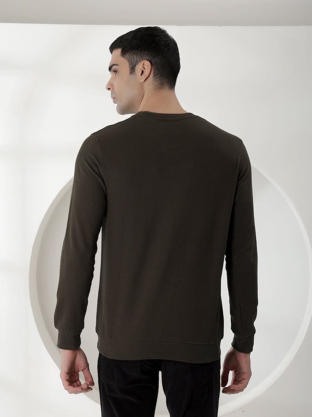 cobb solid green round neck full sleeve t-shirt