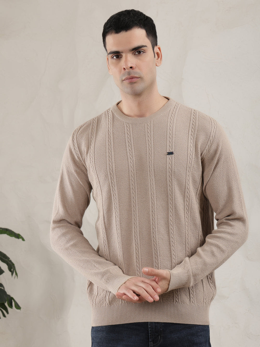 cobb beige self-design round neck sweater