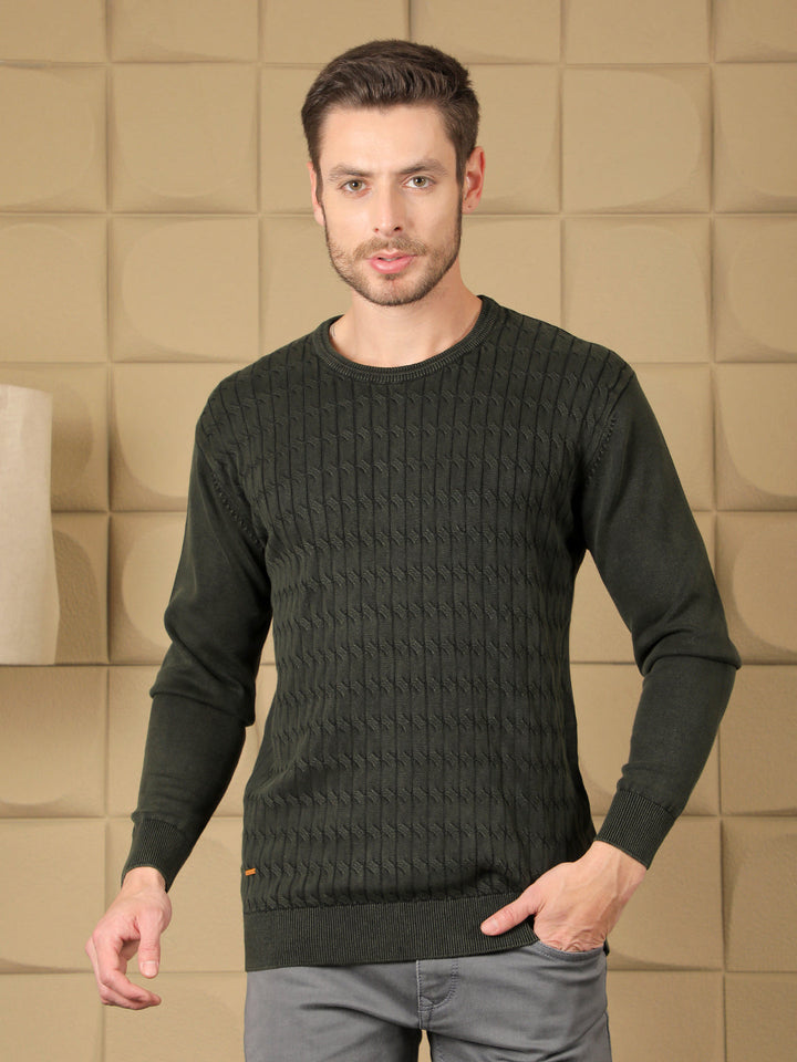 cobb olive self-design round neck sweater