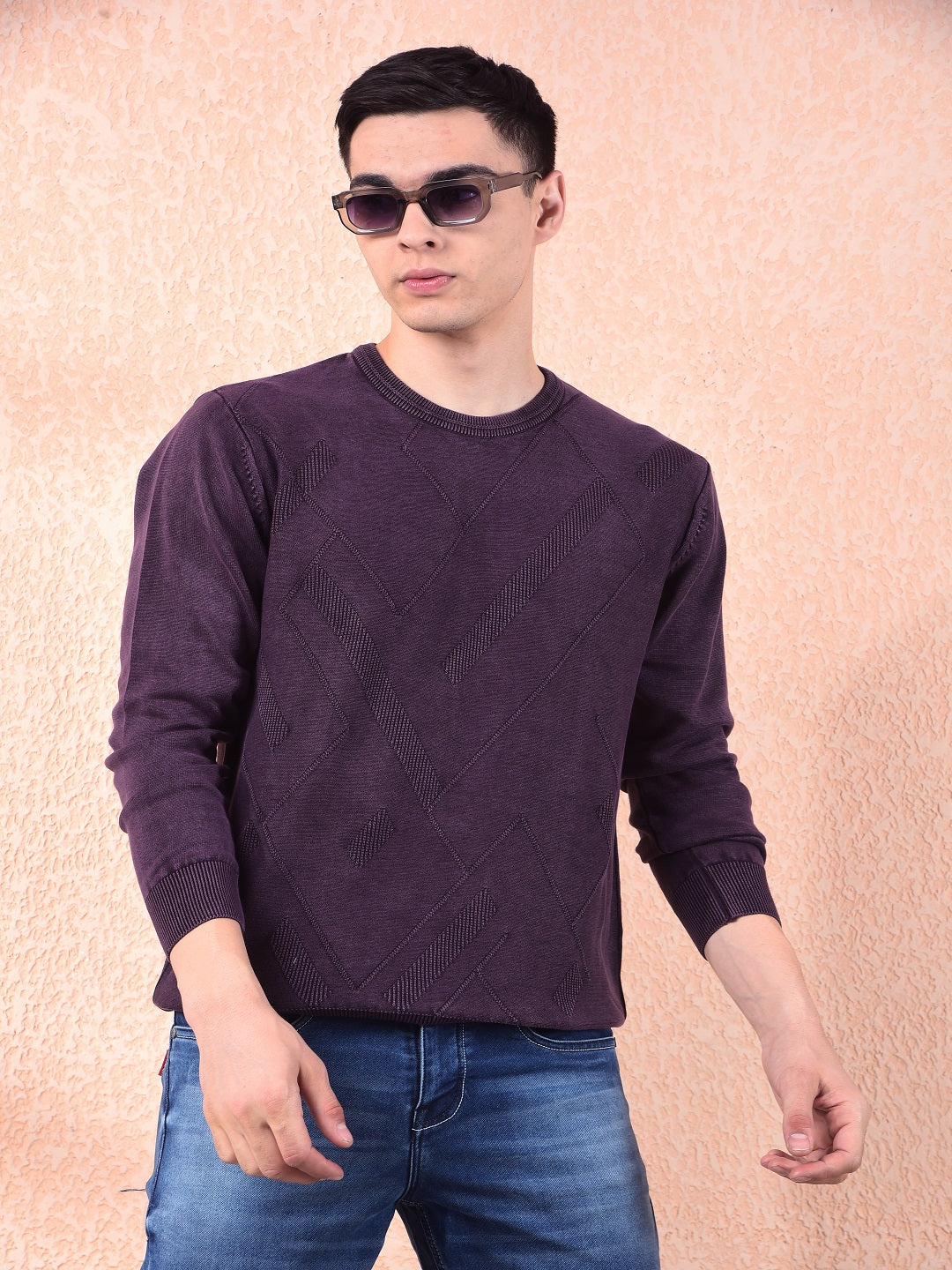 cobb mauve self-design round neck sweater