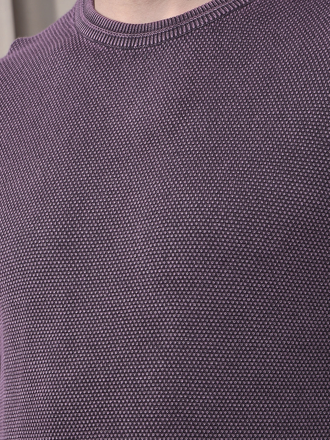 COBB SOLID MAUVE ROUND NECK SWEATER