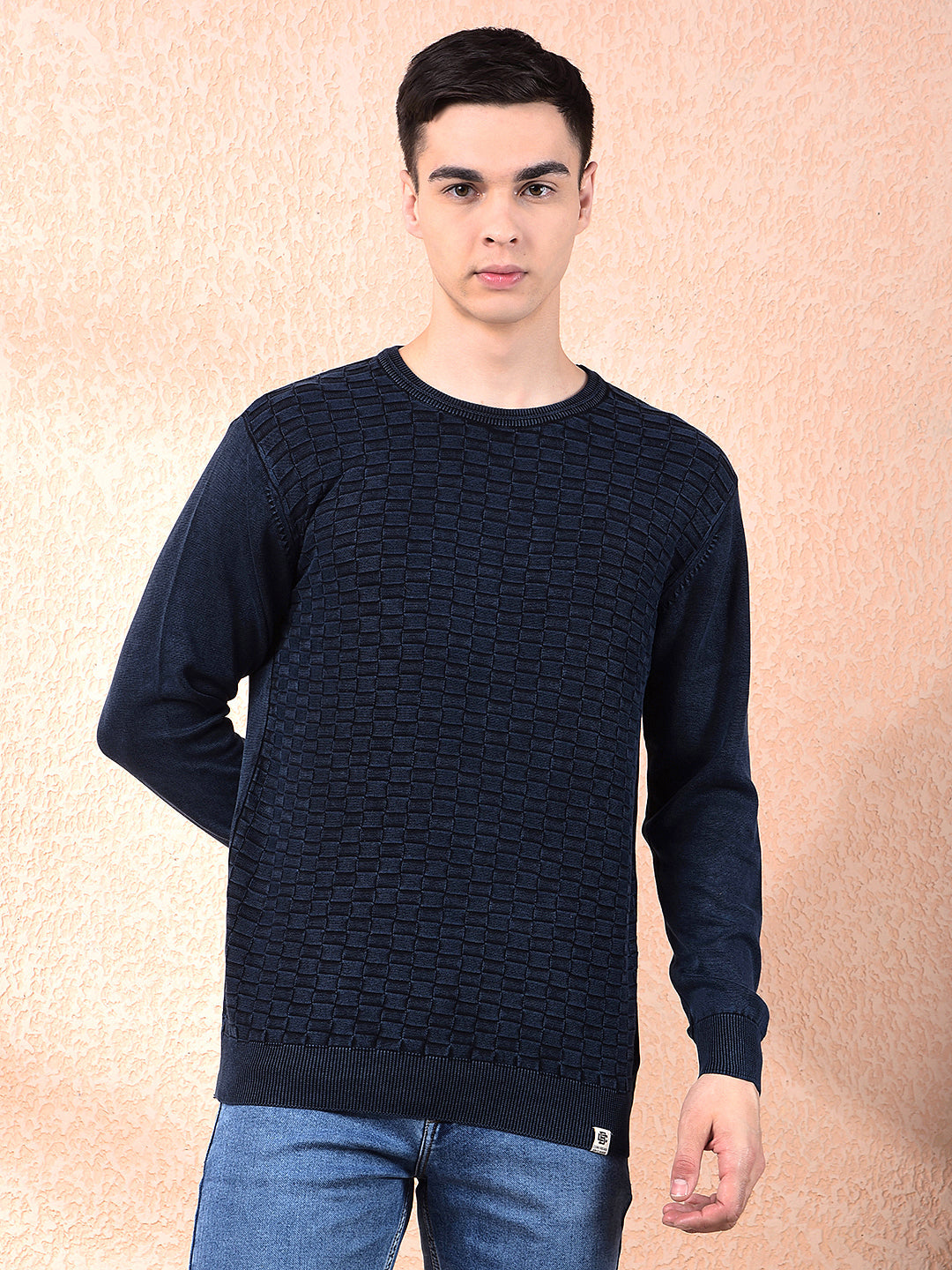 cobb navy blue self-design round neck sweater