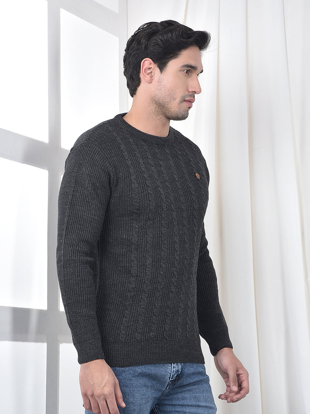cobb anthra self-design round neck sweater