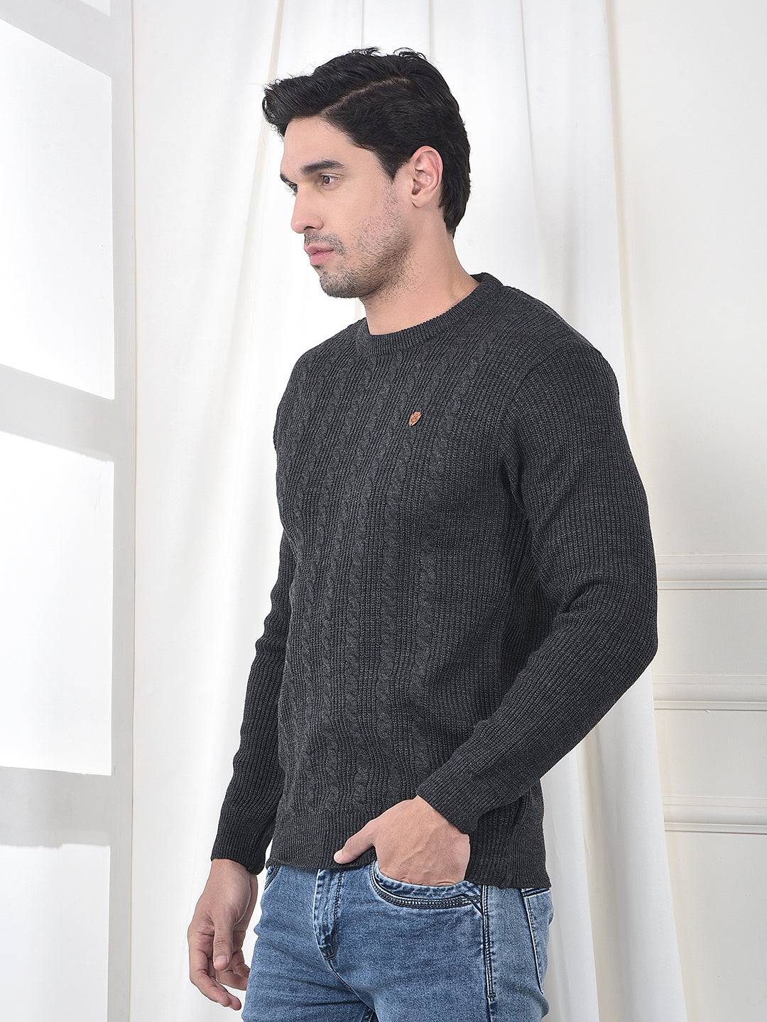 COBB ANTHRA SELF-DESIGN ROUND NECK SWEATER