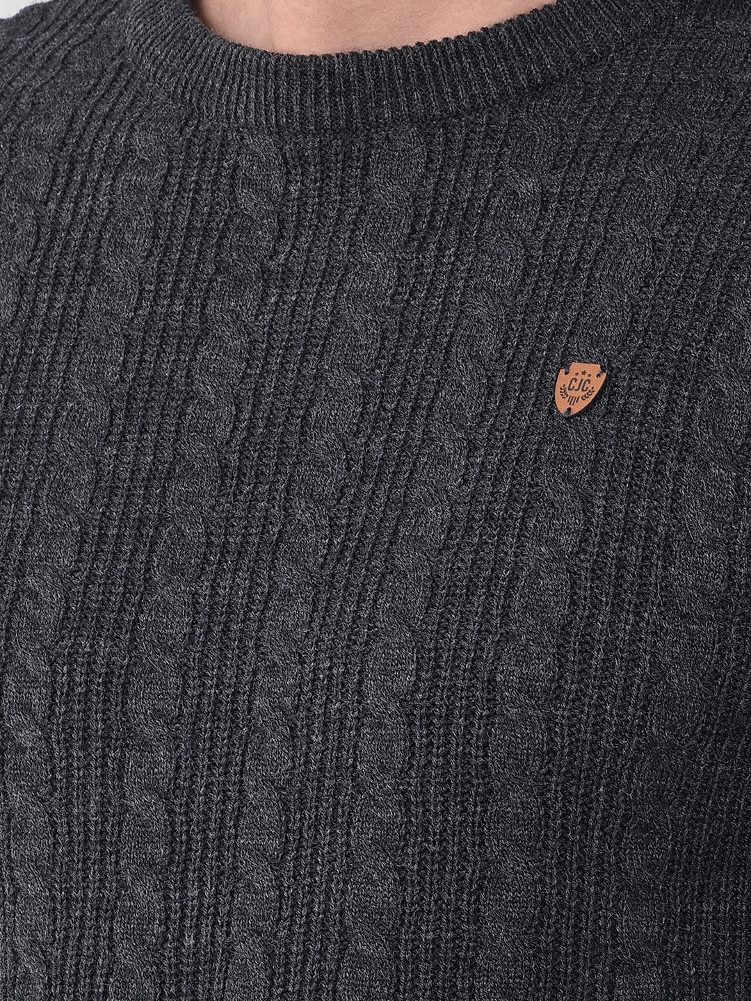 COBB ANTHRA SELF-DESIGN ROUND NECK SWEATER