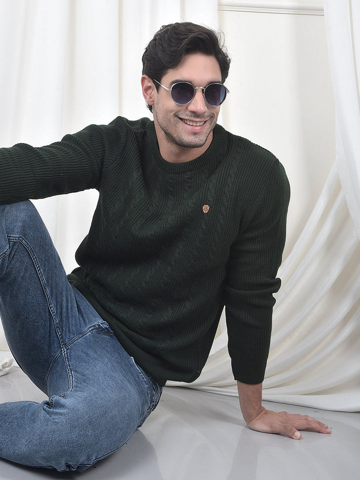 cobb olive self-design round neck sweater