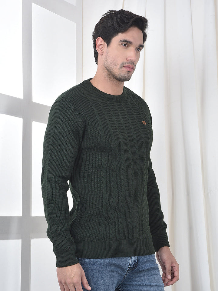 cobb olive self-design round neck sweater
