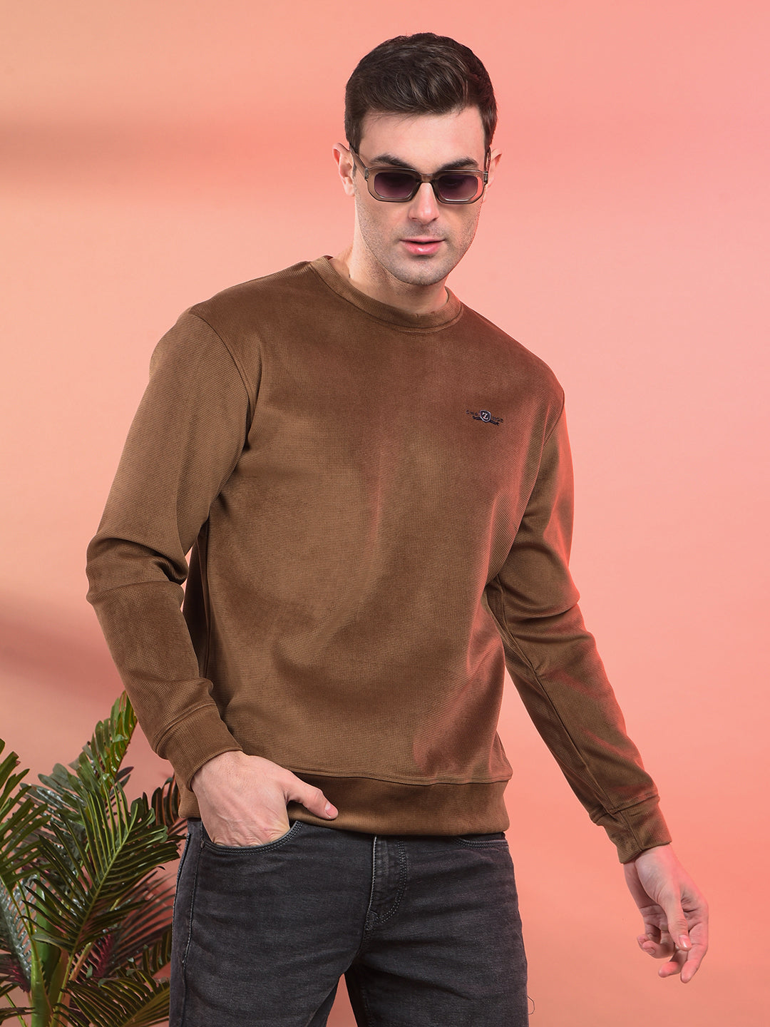 cobb solid brown round neck velvet sweatshirt