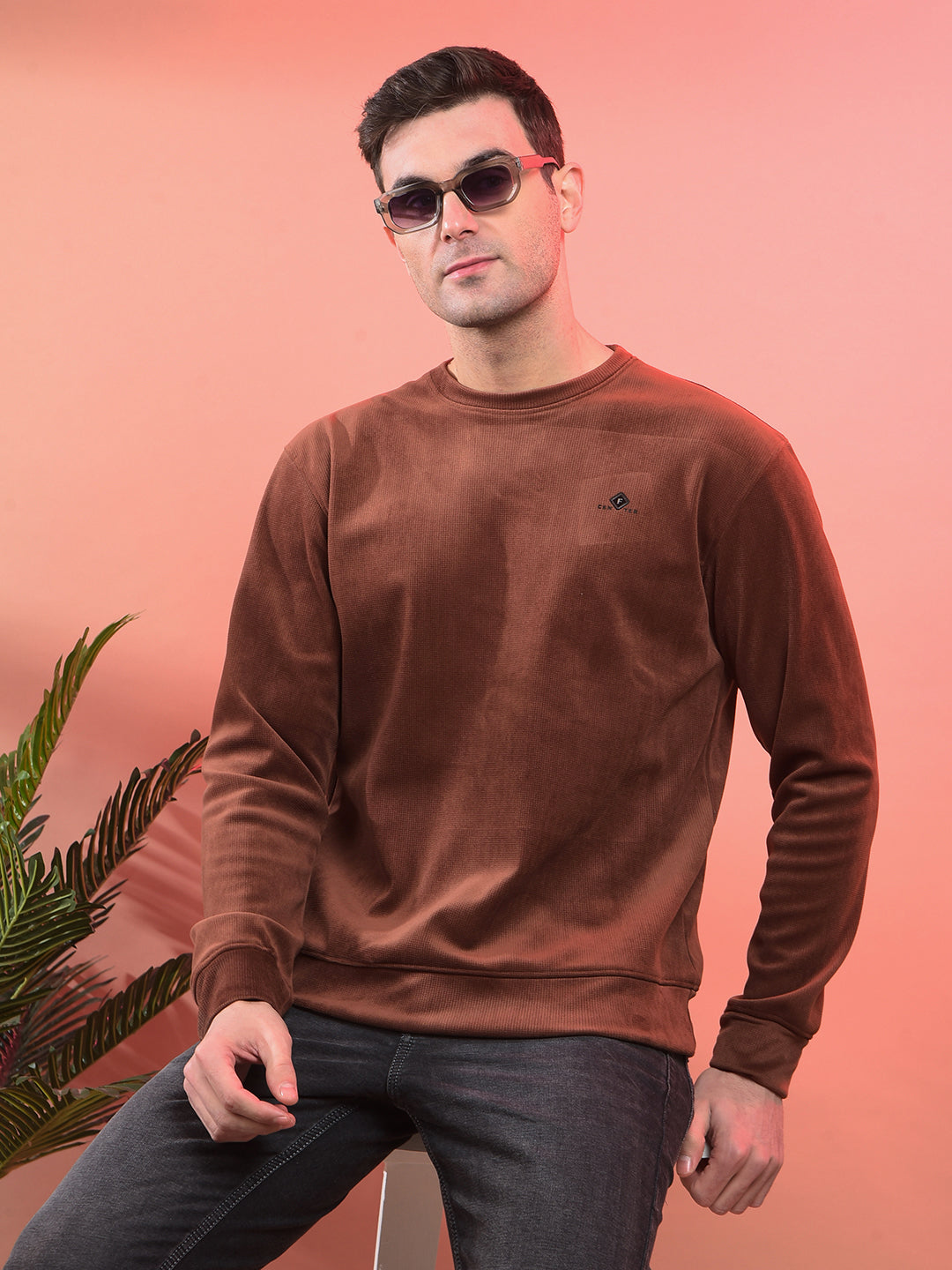 cobb solid brown round neck velvet sweatshirt