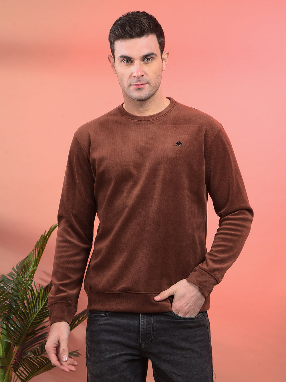 cobb solid brown round neck velvet sweatshirt