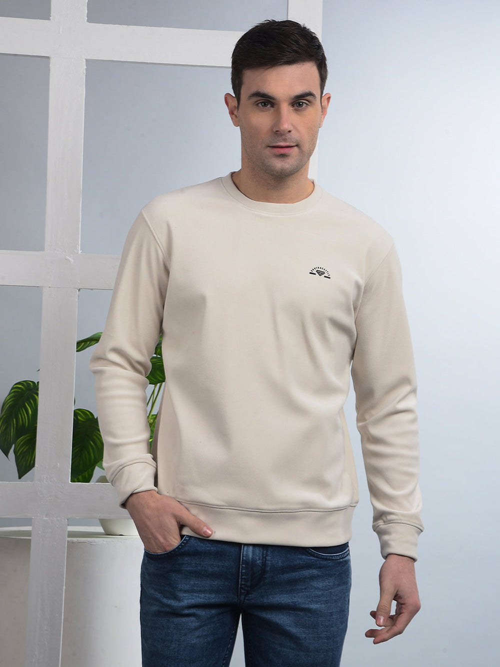 cobb solid off white round neck velvet sweatshirt