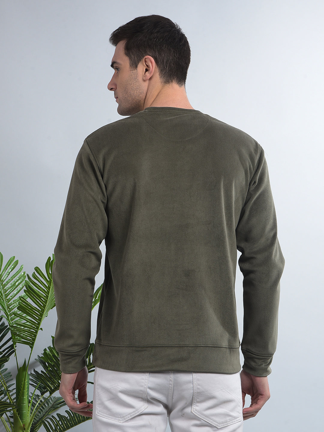 cobb solid olive round neck velvet sweatshirt