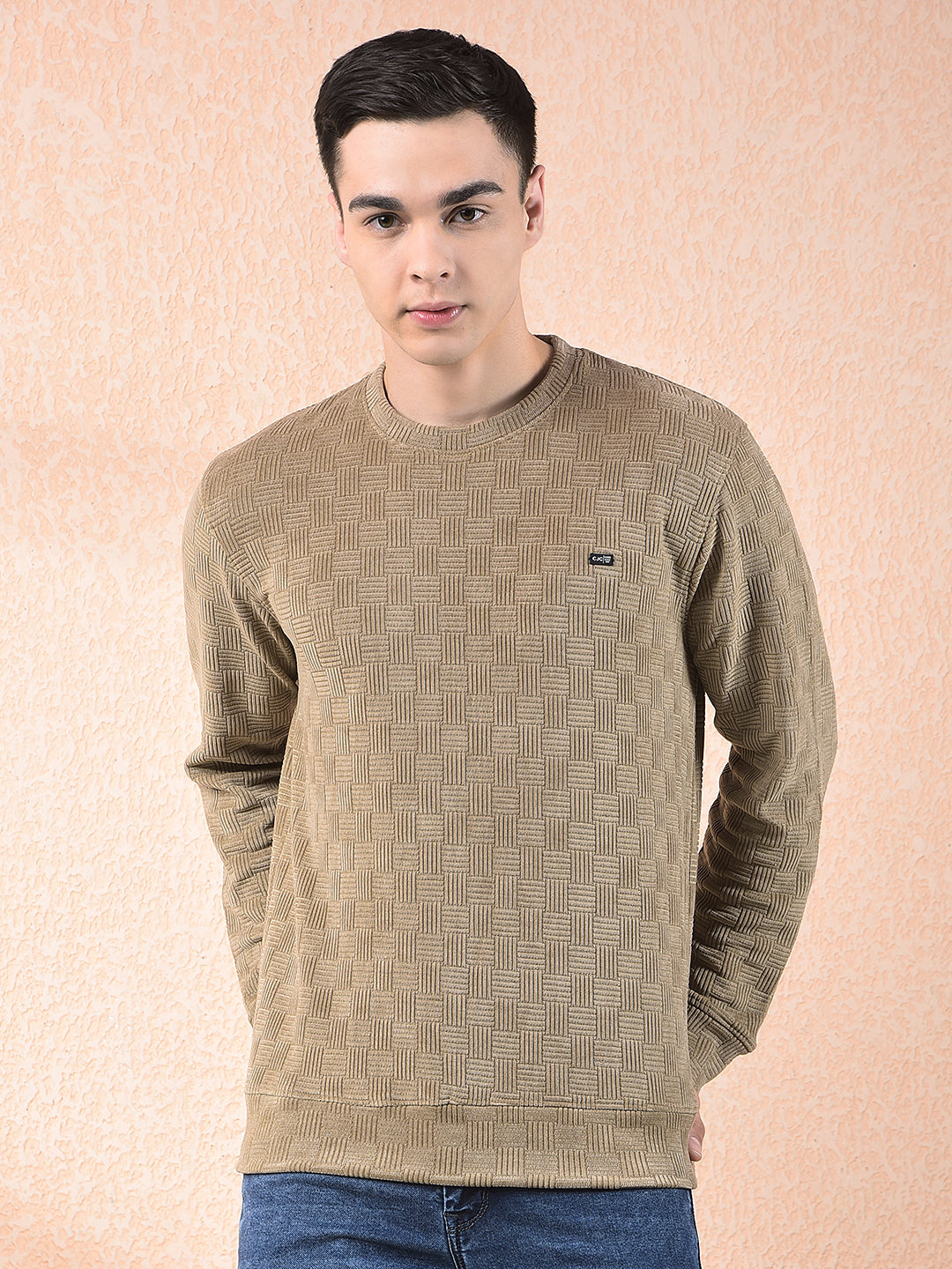 cobb beige self-design round neck sweatshirt