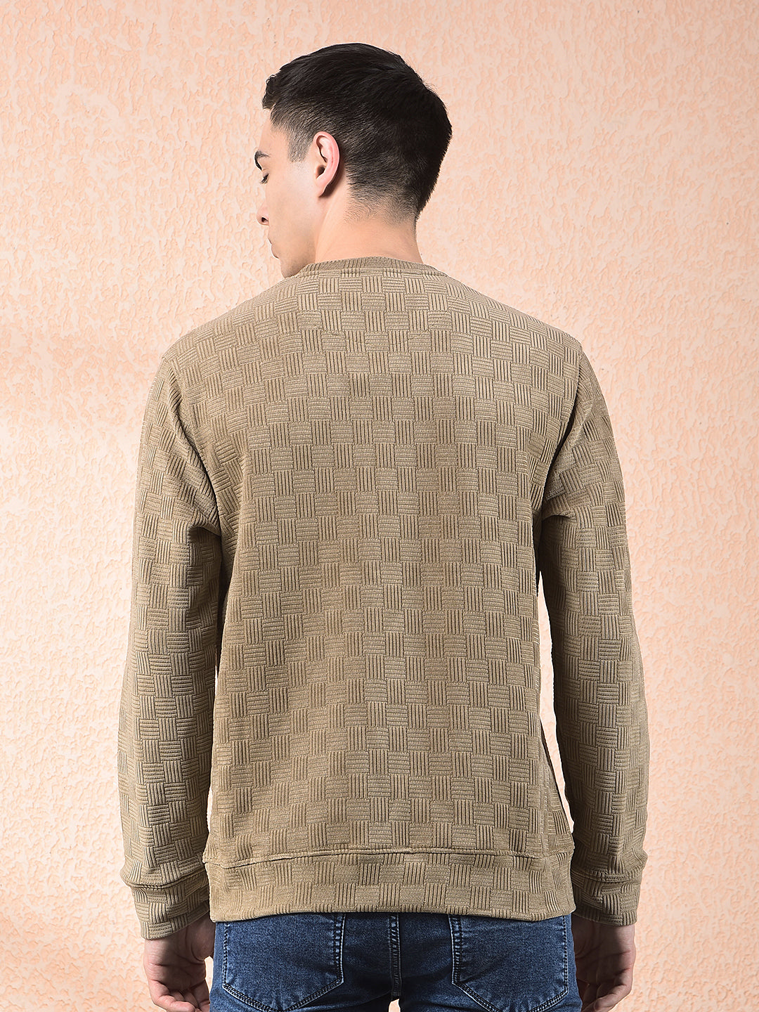 cobb beige self-design round neck sweatshirt